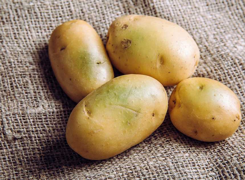  You Ought to By no means Eat a Potato That Appears to be like Like This, Says Science