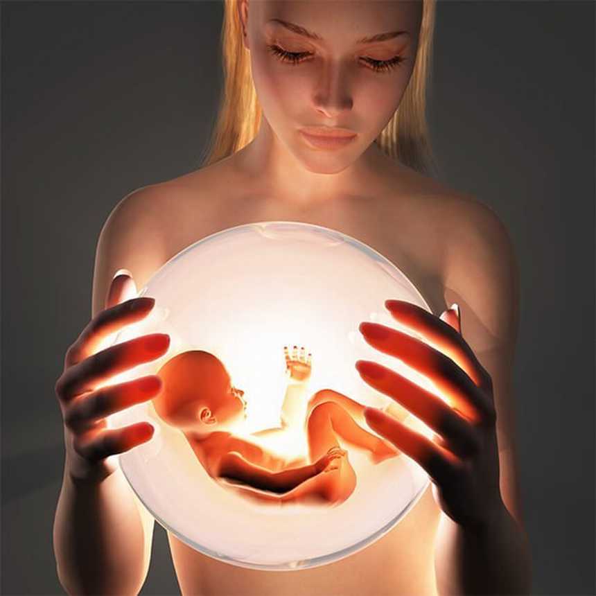  Conception: The Wonderful Journey from Egg to Embryo