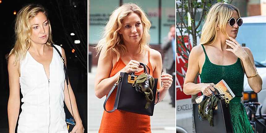  Kate Hudson's Sophie Hulme Bag